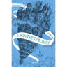 A Winter's Promise: Book One of the Mirror Visitor Quartet