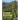 Forest Ecology