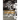 Intercepted: The Rise and Fall of NFL Cornerback Darryl Henley