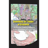 Rebuilding the Temple at Jerusalem: The Persian Empire's Influence In The Rebuilding Of Jerusalem