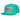 Mens MITCHELL & NESS NBA PASTEL SNAPBACK HWC GRIZZLIES by SNEAKAR