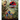 Jurassic Park: The Ultimate Visual History
