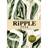 RiPPLE 2024