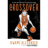 The Crossover Graphic Novel: A Graphic Novel