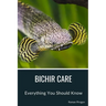 Bichir Care: Everything You Should Know