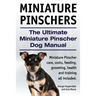Miniature Pinschers. The Ultimate Miniature Pinscher Dog Manual. Miniature Pinscher care, costs, feeding, grooming, health and training all included.