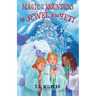 Magic in the Mountains: The Jewel of the Yeti