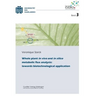 Whole plant in vivo and in silico metabolic flux analysis: towards biotechnological application (Band 3)