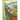 The Mystery Across the Secret Bridge