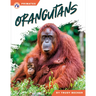 Orangutans