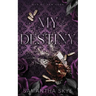 My Destiny: A Single Dad Mafia Romance