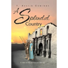 A Splendid Country: A Tale of the American Frontier