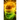 emergence of integrity