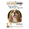 Lost Souls: FOUND! Inspiring Stories About Cocker Spaniels