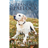 Millie and the Mountain