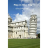 Pisa in One Day