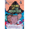Flying Up the Mountain