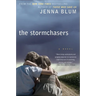 The Stormchasers