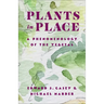 Plants in Place: A Phenomenology of the Vegetal
