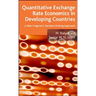 Quantitative Exchange Rate Economics in Developing Countries: A New Pragmatic Decision Making Approach