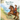 Boca Boca Nut Tree: The Story of an Almost-King