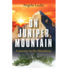 On Juniper Mountain
