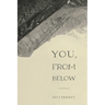 You, From Below