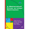 A Mathematical Primer on Linear Optimization