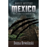 Novice Mystery - Mexico: The Second Dan and Karen Novice Mystery
