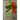 PocketMod Get Started
