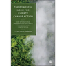 The Powerful Norm for Climate Change Action: How International Organizations Legitimate Themselves Amid Contestation