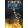 Pulled Out For A Purpose: Processed, Positioned, and Prepared