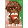 Social Animals