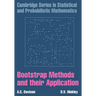 Bootstrap Methods and Their Application