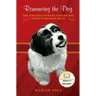 Romancing the Dog: The Struggle To Make A Pound Dog Happy in Beverly Hills