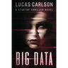 Big Data: A Startup Thriller Novel