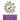 Children's Palliative Nursing Care