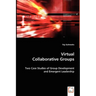 Virtual Collaborative Groups