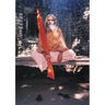 Dandi Swami: The Story of the Guru's Will, Maharishi Mahesh Yogi, the Shankaracharyas of Jyotir Math, & Meetings with Dandi Swami N
