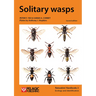 Solitary wasps