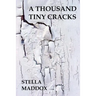 A Thousand Tiny Cracks