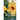 Soul Blossoms
