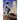 The Judoka