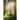 The Seventh Chapter from Seven Decades of Life Encounters: Me ... Mine Own Self