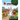 MR Jenkins Farm: The Secret Journey