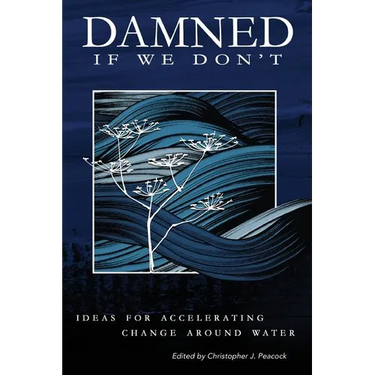Damned if We Don't!: Ideas for accelerating change around water