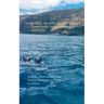Cruises... in a different way! Compact Travel Guide Canary Islands 2019/2020: Teneriffa, Fuerteventura, Gran Canaria, Lanzarote, La Palma, La Gomera