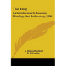 The Frog: An Introduction To Anatomy, Histology, And Embryology (1906)