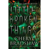 Little Broken Things