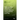 High Accuracy Detection of Mobile Malware Using Machine Learning